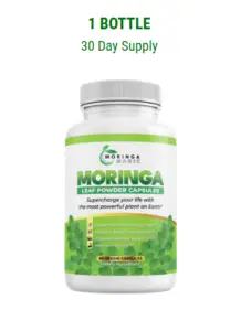 Moringa leaf power