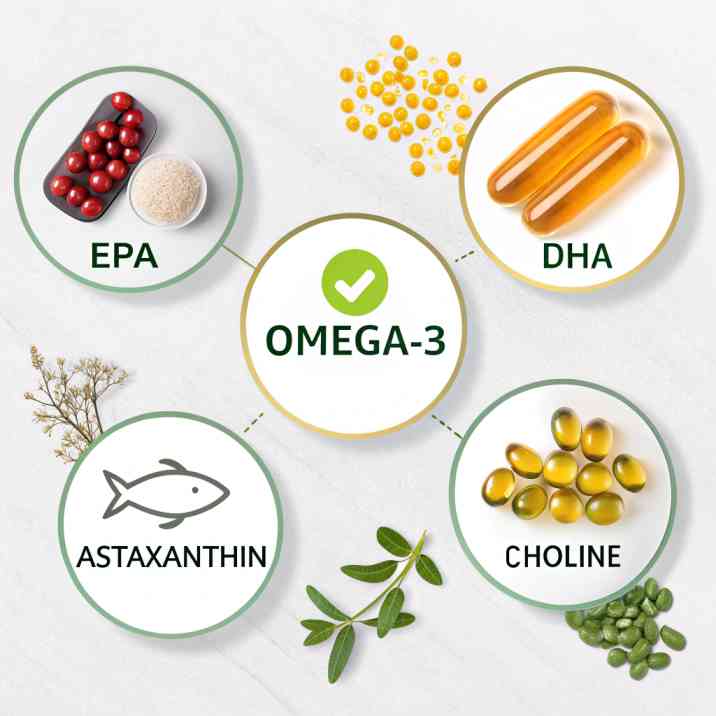 Anti-Inflammatory Supplements